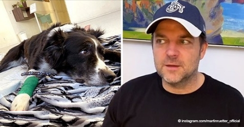 Hund von Martin Rütter leidet an Krebs   er enthüllt Neuigkeiten über ihren Gesundheitszustand